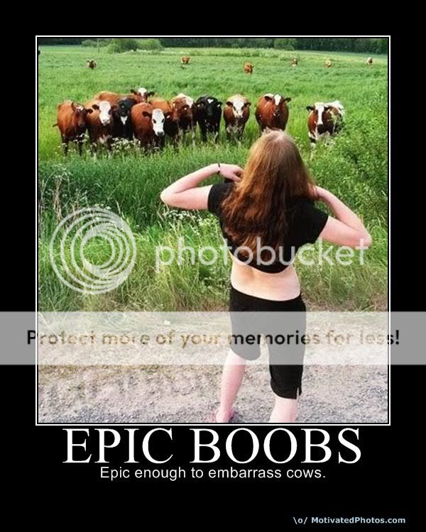 Epic Boobs Pictures, Images and Photos