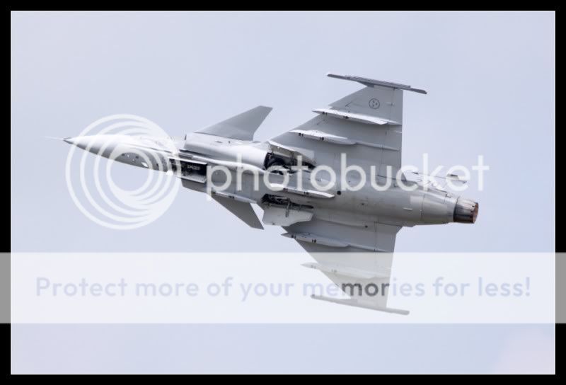 IMG_1468800x600.jpg