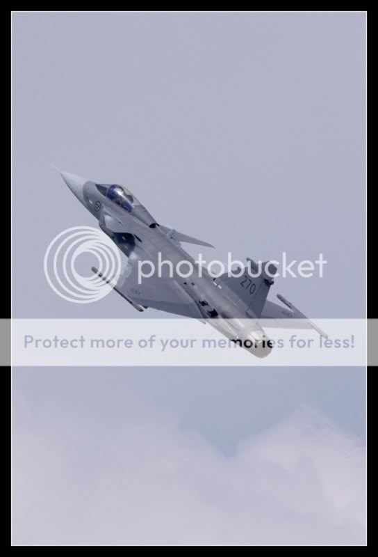 IMG_1478800x600.jpg