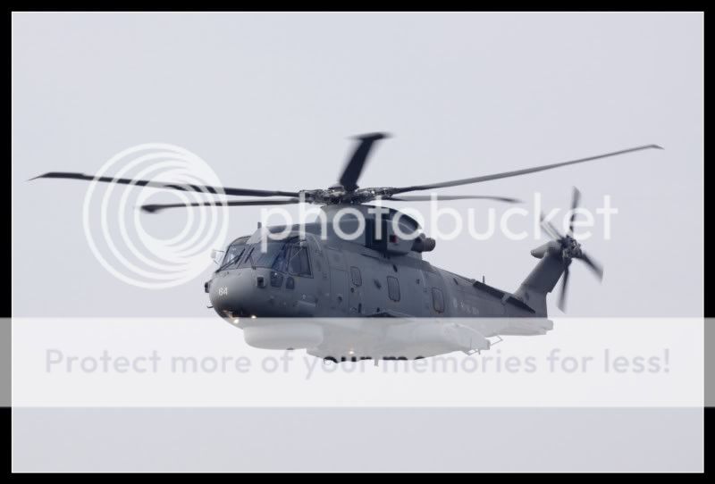 _MG_7251800x600.jpg