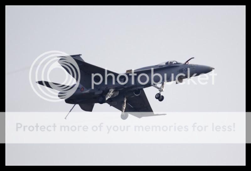 _MG_7747800x600.jpg