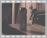 legend-changes.mp4 video by practicerecordings