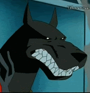 Growling Ace Pictures, Images and Photos