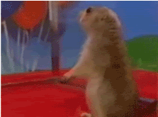 [Image: DramaticChipmunk.gif]