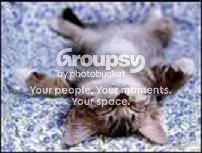 Have A Great Weekend, Kitten! Pictures, Images and Photos