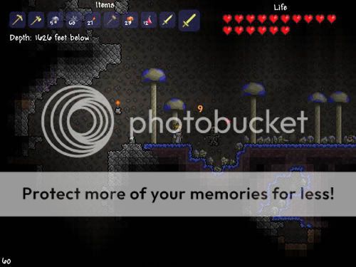 Terraria