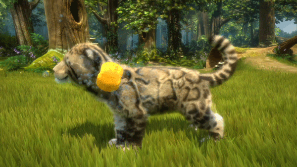 Kinecitmals ¡Ahora con osos!
