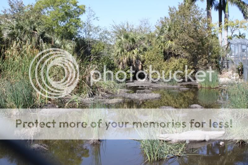 IMG 1802800x600?t1237858574