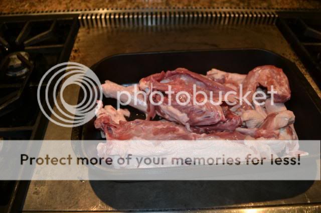 photo DSC_0139-1.jpg