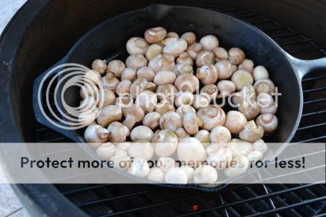 photo DSC_0166-1.jpg