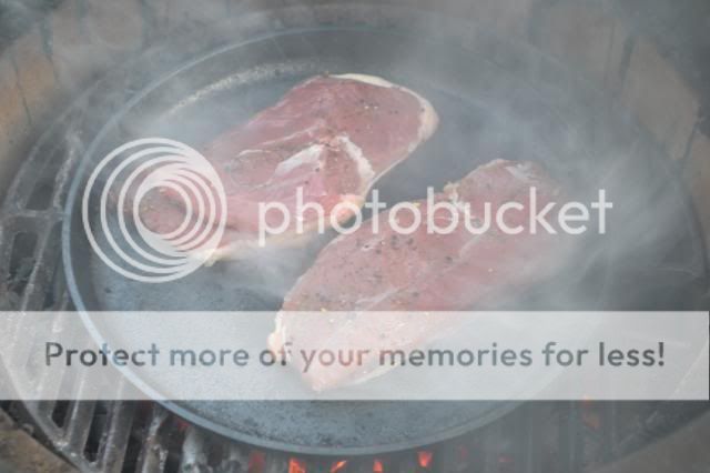 photo DSC_0175-1.jpg