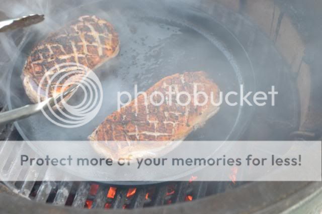 photo DSC_0176-1.jpg