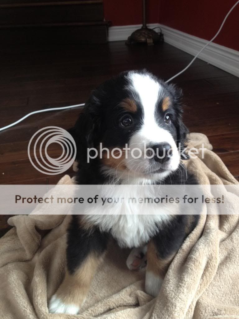 photo a485a6d9-38e9-4449-9f4e-9192dcd200a0.jpg