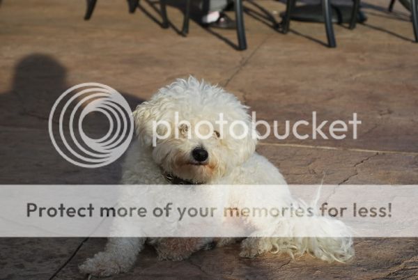 photo c1274035-97a3-46f5-9a21-6ad7653da0a3.jpg